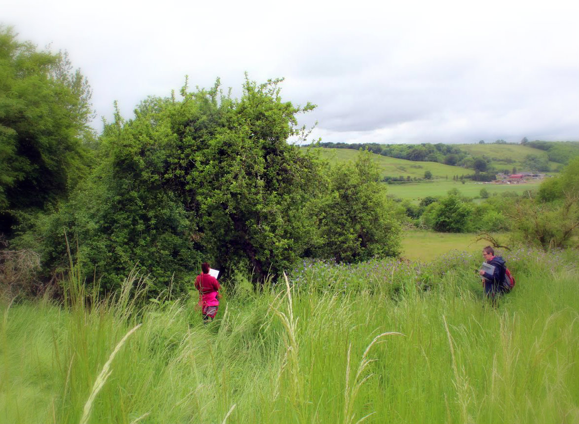 A historic orchard is identified