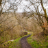 Descending through the gorge from Craignethan Castle