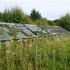 Abandoned Glasshouse at Underbank, demolished January 2017