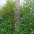 An abandoned chimney at Underbank