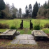 Stone lions on steps to the sunken garden