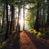 Bryan Frame Twilight Trundle At Mauldslie Woods