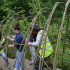 Volunteers help create the willow tunnel at Clearburn