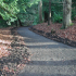 Enjoy a glorious woodland walk through the designed landscape