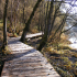 The boardwalk at Falls of Clyde