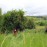 A historic orchard is identified