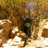 Beneath the craigs at Lower Nethan Gorge
