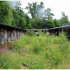 The 1980s stable block, SGLH, 2016