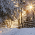 Stuart Stevenson Winter in Braidwood