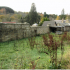 The Walled Garden, looking towards the Courtyard Stables and the Wellingtonia at the site of Carfin House, SGLH, 2016