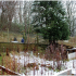 Interior of the Walled Garden, with stone-built terraces on which stand disused wooden shelters and fences for the former petting zoo, SGLH, 2016