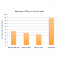 Age Range Of Trees In Orchards
