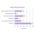 How is the fruit used?