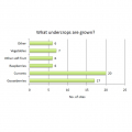 What undercrops are grown?